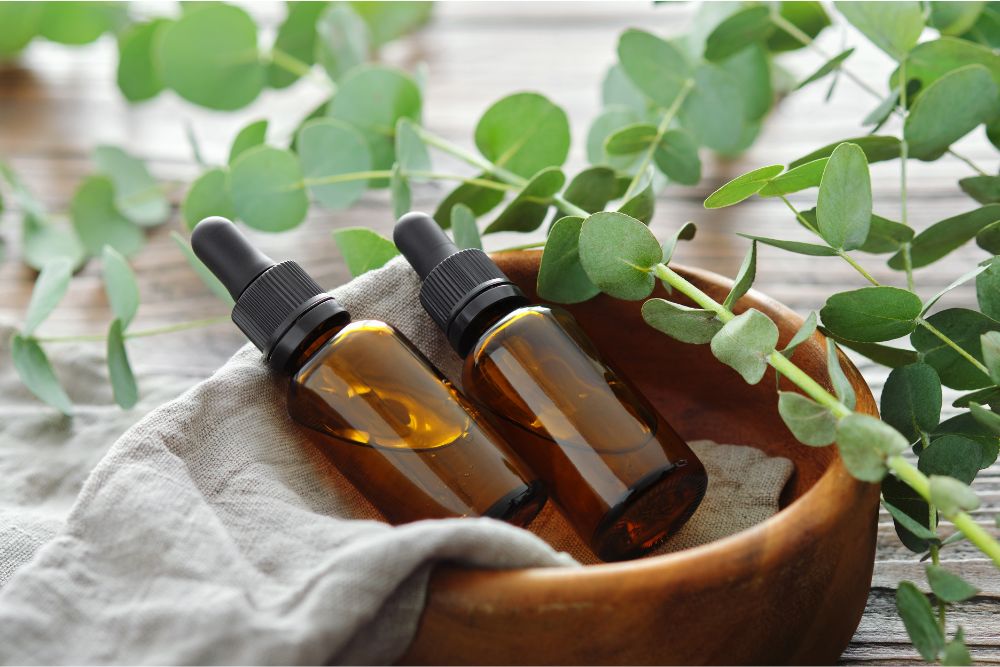 Ulei de eucalipt într-o sticluță mică, cu frunze proaspete de eucalipt – îngrijire naturală a tenului