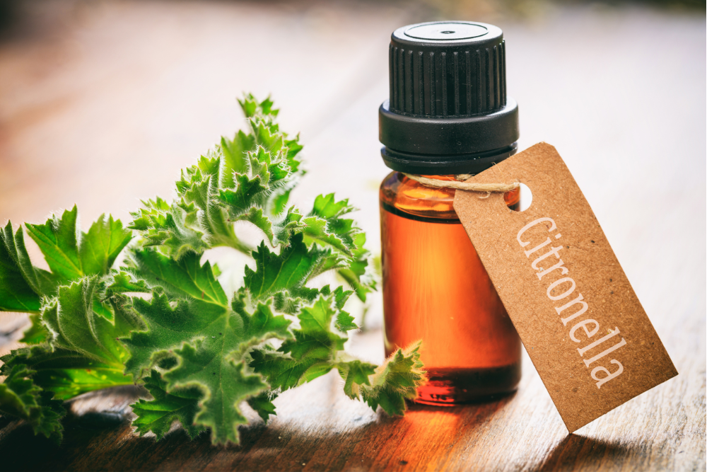 Esenciální olej z citronelly – přírodní složka s obsahem citronellolu, využívaná v aromaterapii a domácí péči.