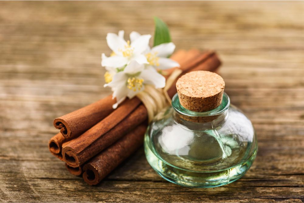 Ruční sklizeň aromatických rostlin pro výrobu vzácných esenciálních olejů