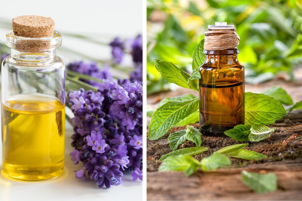 Aroma difuzér s parními výpary mezi sušenými bylinkami a esenciálními oleji