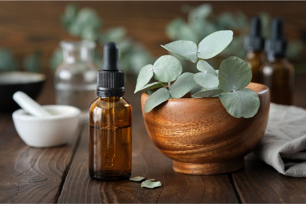 Eukalyptové větvičky s lahvičkou eukalyptového oleje pro aromaterapii