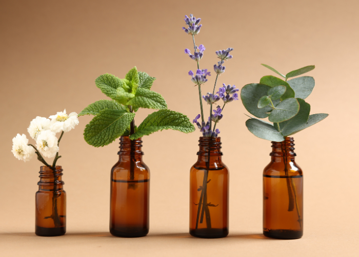 Flacoane maro cu diverse plante aromatice, simbolizând diferitele tipuri de parfumuri pentru alegerea uleiului esențial în funcție de personalitate.