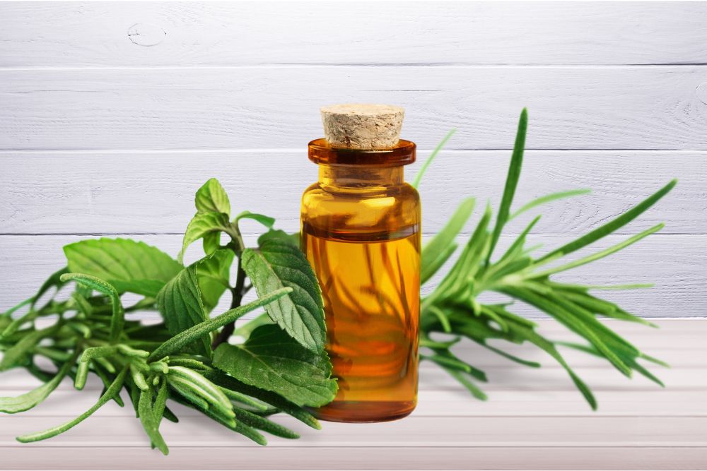 Lahvička s tea tree esenciálním olejem – přírodní produkt z listů australského kajeputu.